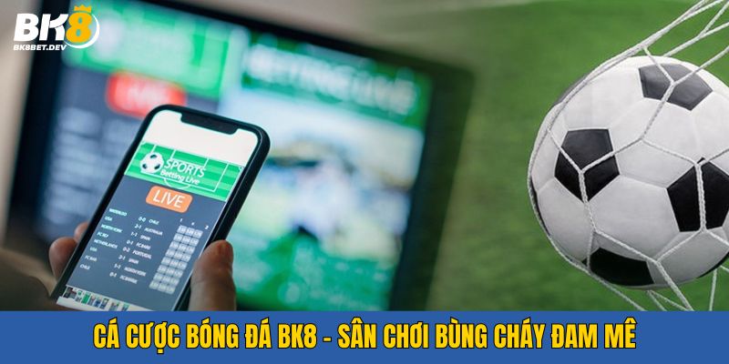 Cá cược bóng đá bk8