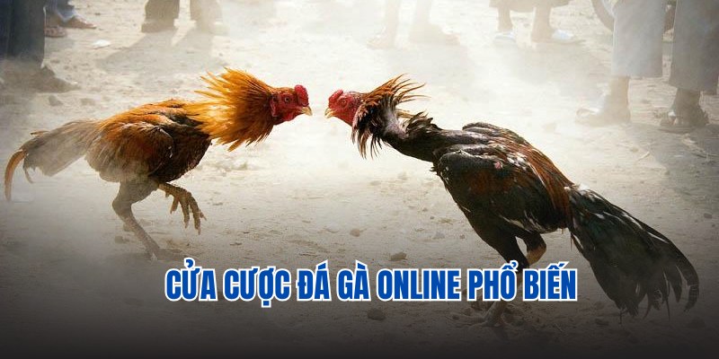 Tổng hợp cửa theo hướng dẫn chơi đá gà online 